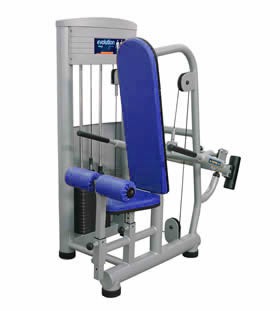 Máquina para Tríceps